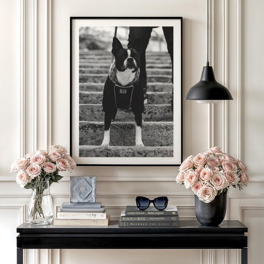 Luxury motivational canvas wall art with a black and white dog wearing a collar on stairs in an elegant interior.